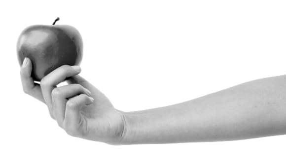 continued_support_image