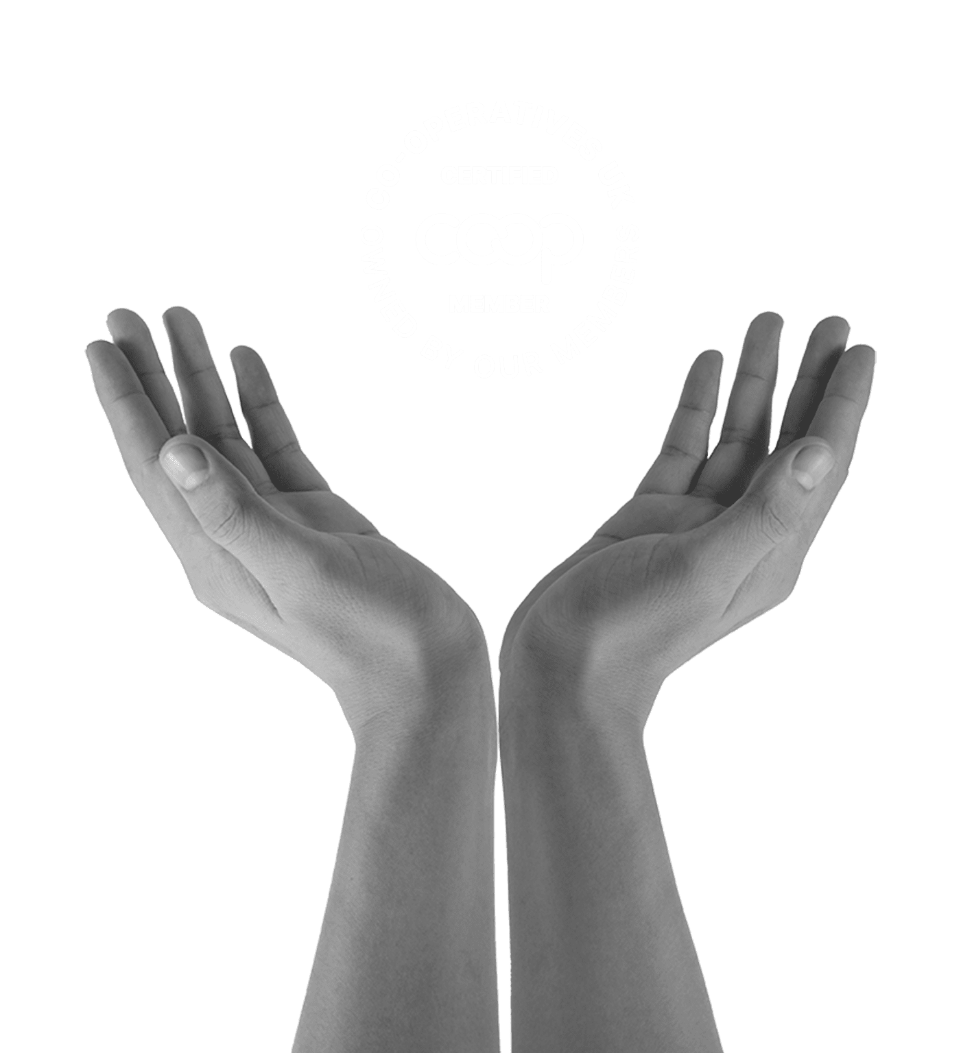 Home Banner - SIPS Education.png